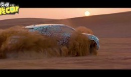 最新沙漠爆料视频播放在线观看,最新爆料视频在线观看，一探究竟